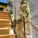 Casa de Koras tarrace staircase